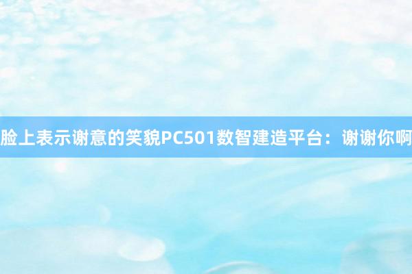 脸上表示谢意的笑貌PC501数智建造平台：谢谢你啊