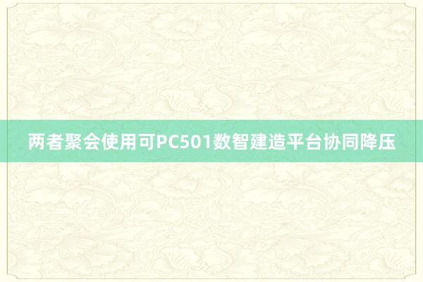 两者聚会使用可PC501数智建造平台协同降压