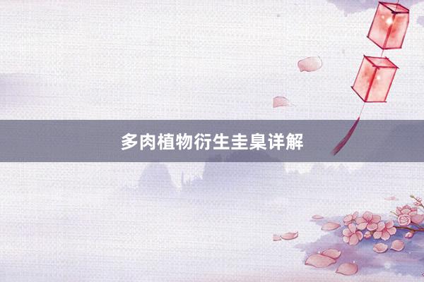 多肉植物衍生圭臬详解
