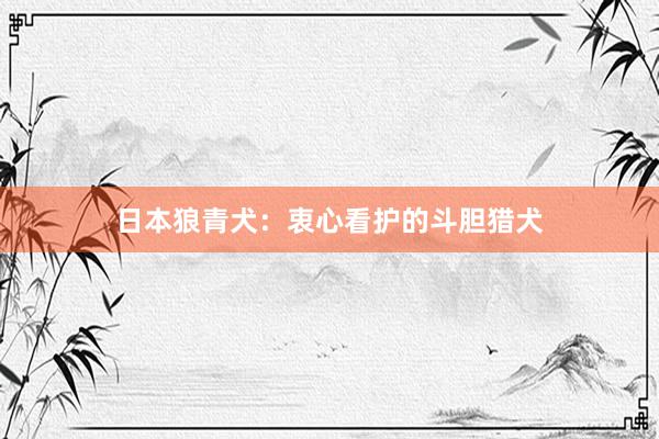 日本狼青犬：衷心看护的斗胆猎犬