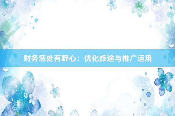 财务惩处有野心：优化旅途与推广运用