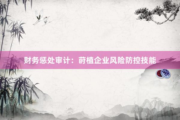 财务惩处审计：莳植企业风险防控技能