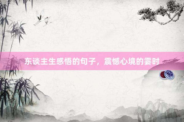 东谈主生感悟的句子，震憾心境的霎时
